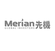 Merian logo grey.png