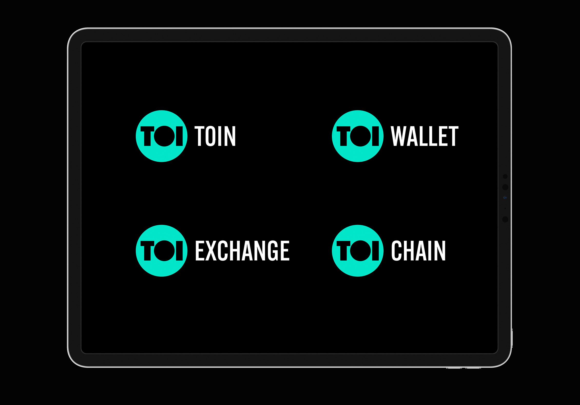 TOI logo adapted for different products